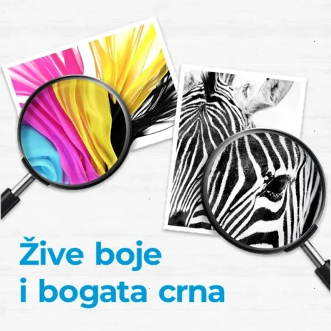 ZIVE BOJA I BOGATNA CRNA ZIVE BOJA I BOGATNA CRNA