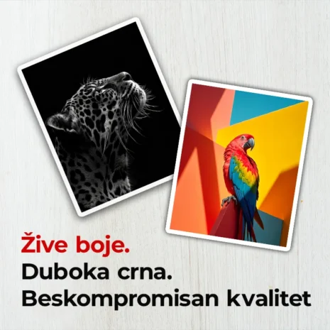 zive_boje_duboka_crna zive_boje_duboka_crna